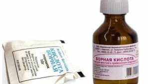 Ljudske metode in sredstva bodo pomagali pozabiti na ščurke